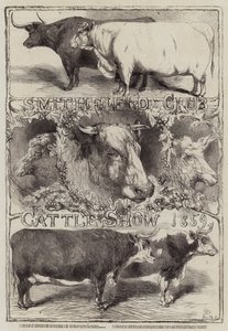 Smithfield Kulübü Sığır Gösterisi, 1859